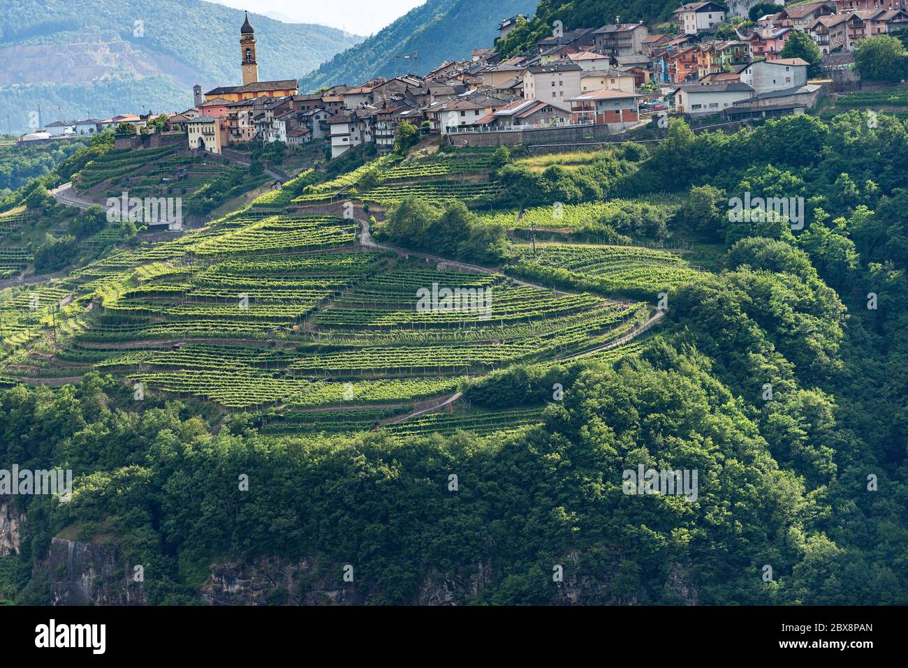 Piccolo villaggio di Faver, famosa per la produzione di vino. Alpi italiane, Valle di Cembra, Provincia di Trento, Trentino Alto Adige, Italia, Europa Foto Stock