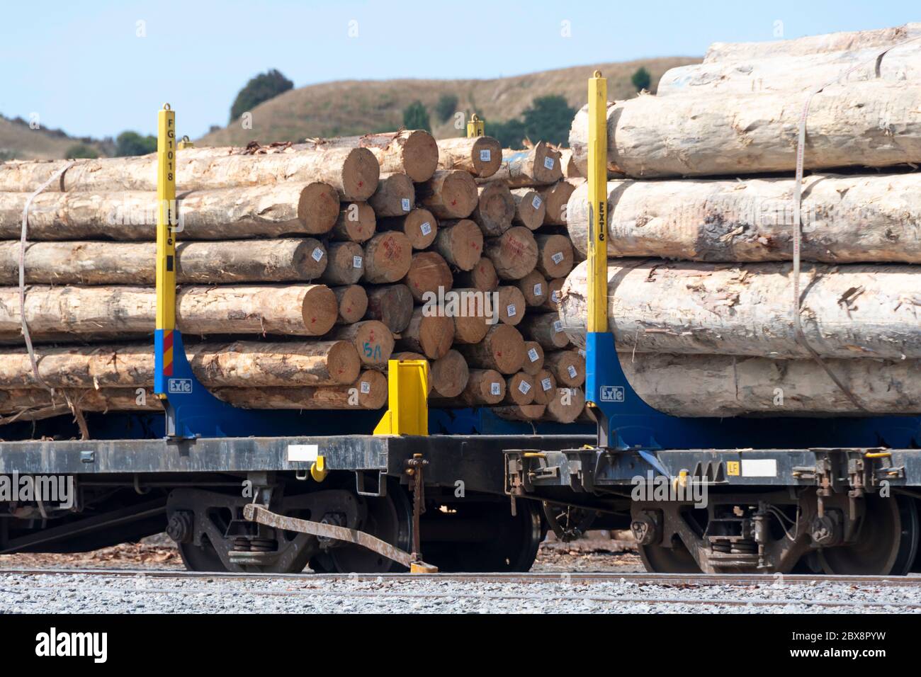 Tronchi caricati su vagoni ferroviari, Whanganui, Isola del Nord, Nuova Zelanda Foto Stock