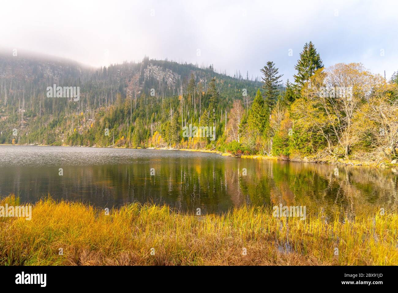 Plesne Lake e Plechy Mountain in autunno. Parco Nazionale di Sumava, Repubblica Ceca. Foto Stock