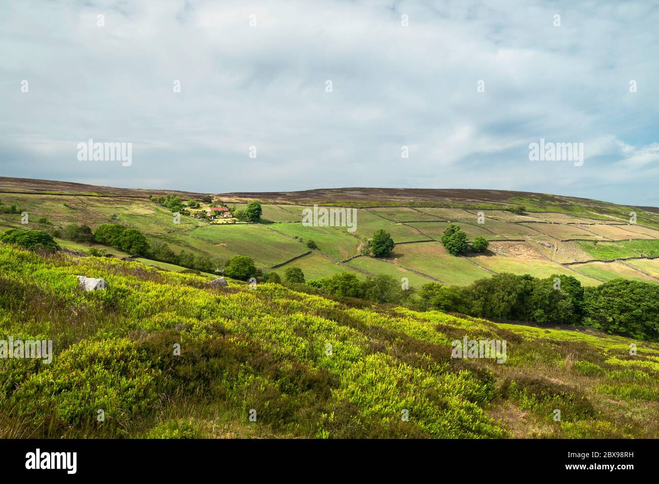 North York Moors con prominenti erpazioni, alberi, campi, erica e erbe sotto il cielo blu e nuvoloso in primavera a Glaisdale, Yorkshire, Regno Unito. Foto Stock