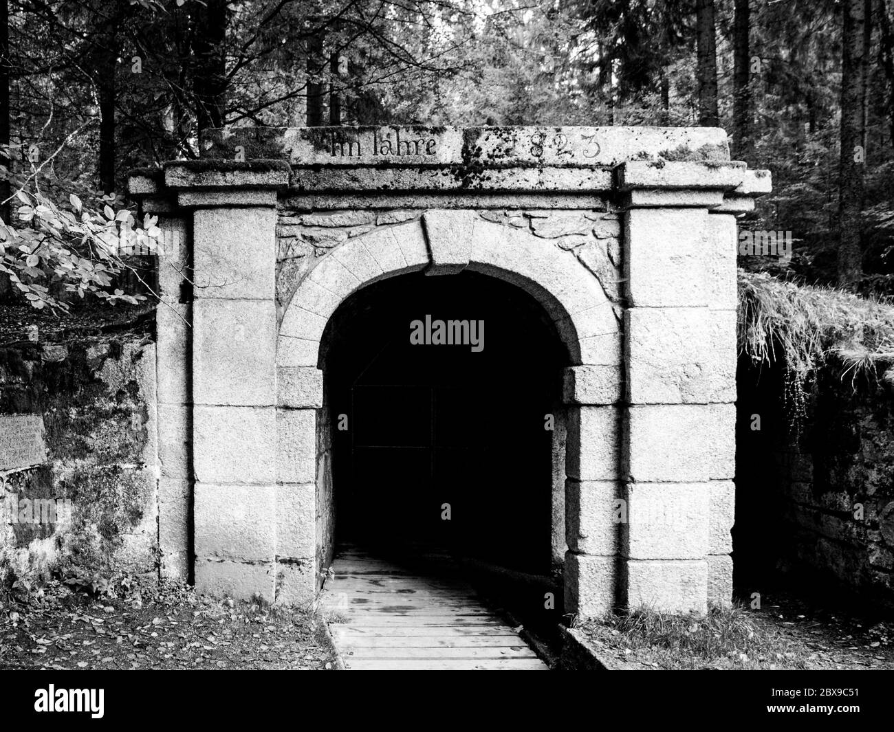 Ingresso inferiore al tunnel dello storico canale di navigazione Schwarzenberg, montagne Sumava, Repubblica Ceca. Immagine in bianco e nero. Foto Stock