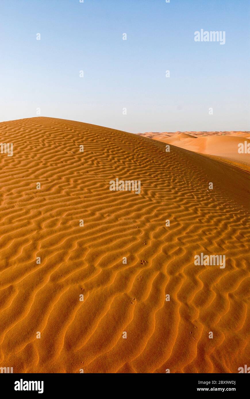 Paesaggio del deserto di sabbia a Dubai Foto Stock