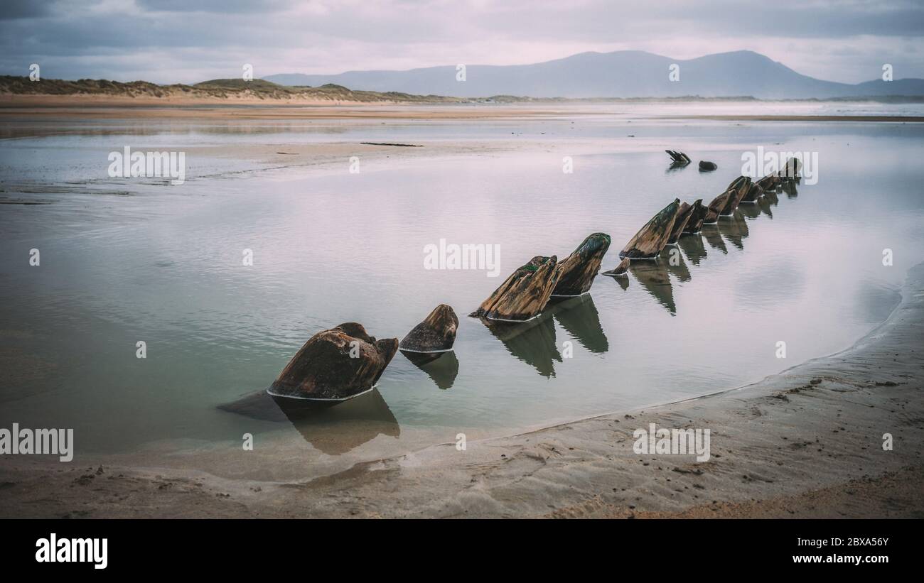 Rovine di una barca a Banna Beach, co. Kerry Irlanda Foto Stock