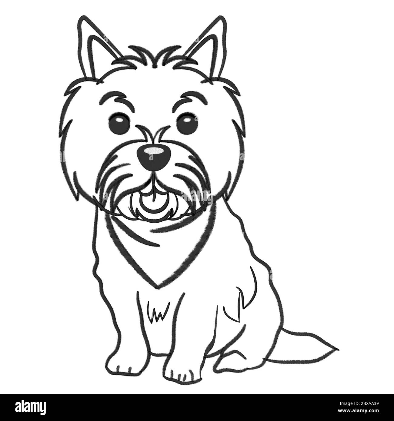 Norwich terrier cane che indossa fazzoletto siede matita disegno schizzo  isolato su bianco Foto stock - Alamy