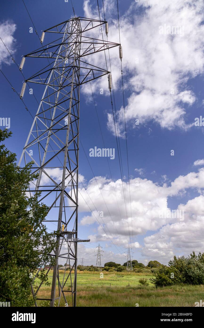 Pilone elettrico, Deeside, Galles del Nord Foto Stock