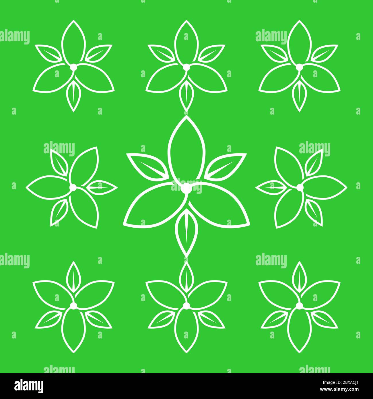linee di disegno fiore jasmine bianco vettore di disegno su sfondo verde Illustrazione Vettoriale