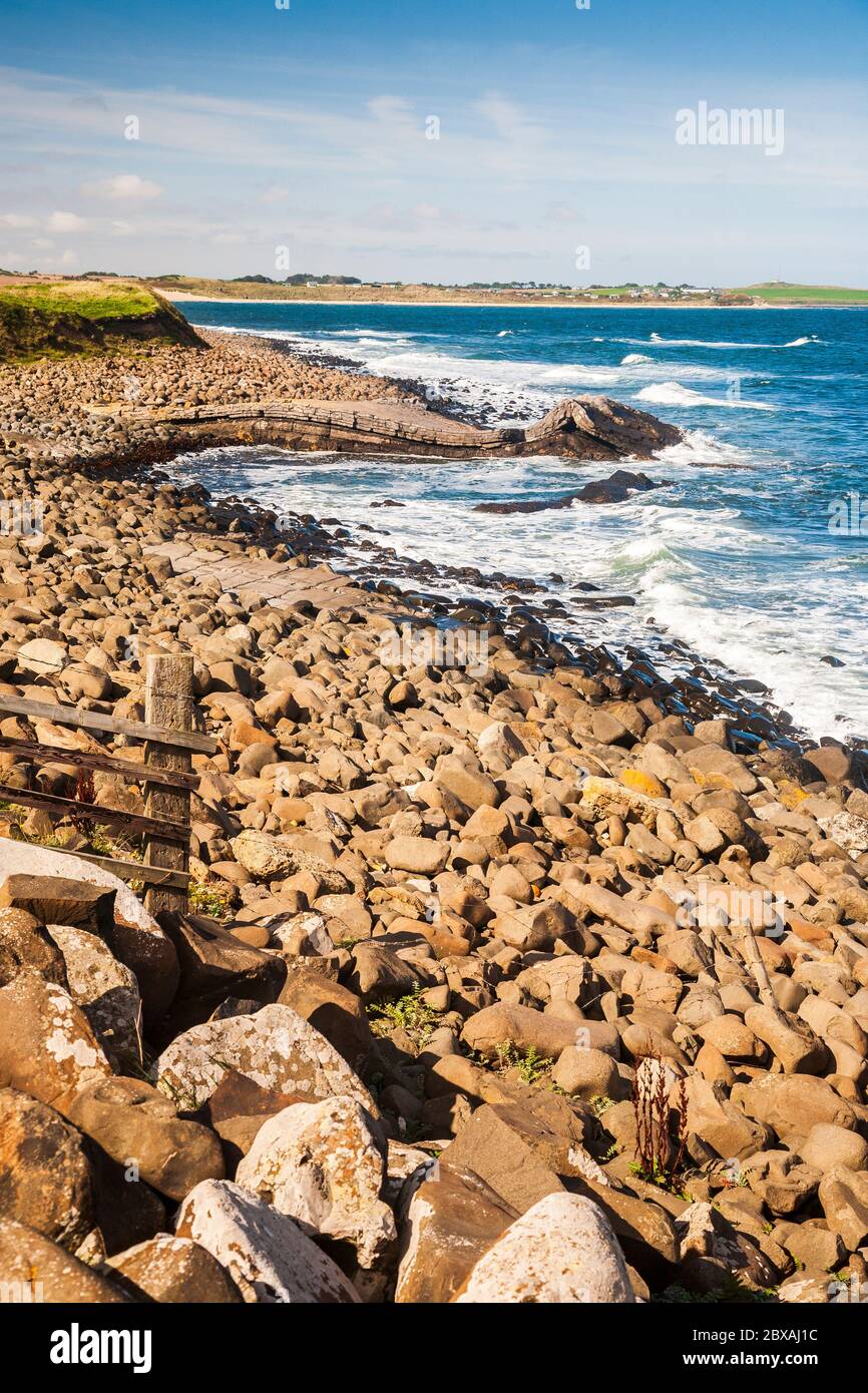 Formazione rocciosa ignea piegata a Greymare Rocks a Embleton Bay, Northumberland, Inghilterra Foto Stock