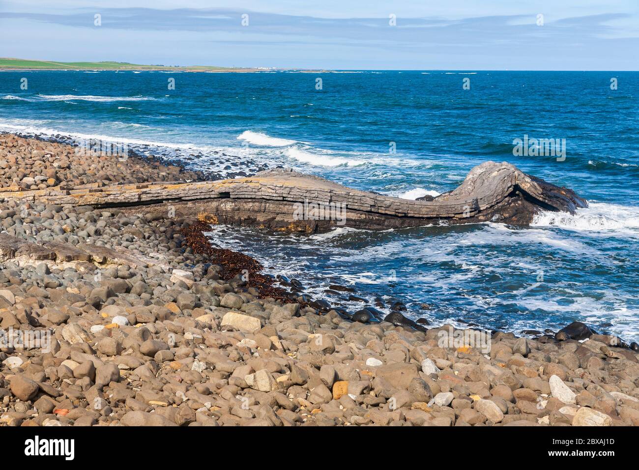 Formazione rocciosa ignea piegata a Greymare Rocks a Embleton Bay, Northumberland, Inghilterra Foto Stock