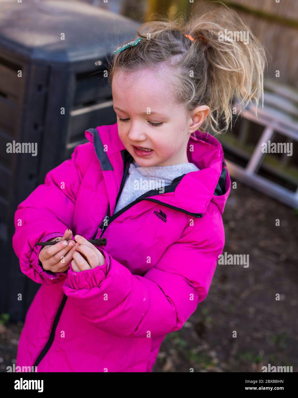 Ragazza pre-scuola che svuota il contenitore del composto durante il blocco, ragazza che indossa il cappotto rosa facendo il compostaggio, ragazza pre-scuola che istruire circa il compost Foto Stock