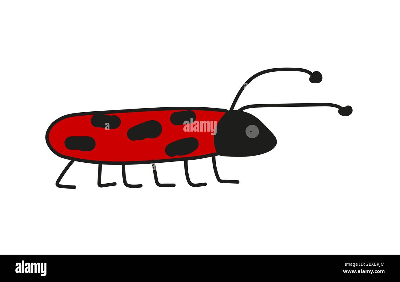 bug rosso oblungo con punti neri oblungi e antenne, Illustrazione Vettoriale