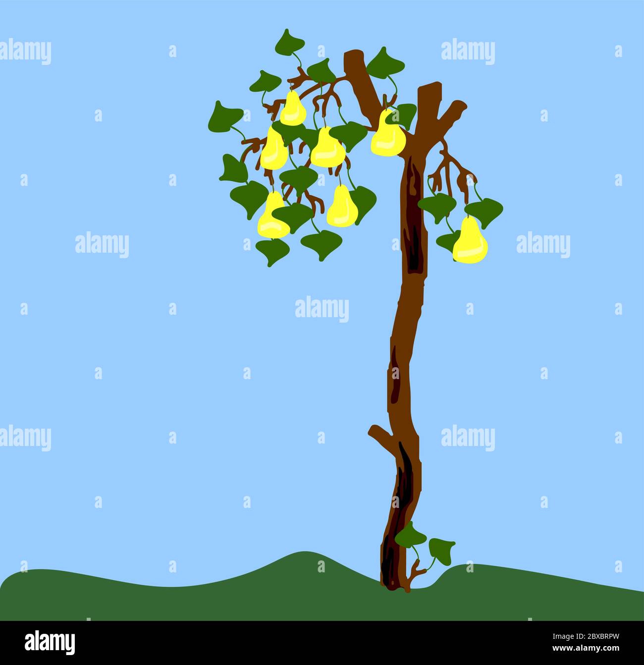 pera vecchia con rami segati e corteccia di carrata e su rami piccoli foglie verdi e pere gialle. imitazione del disegno dei bambini Illustrazione Vettoriale