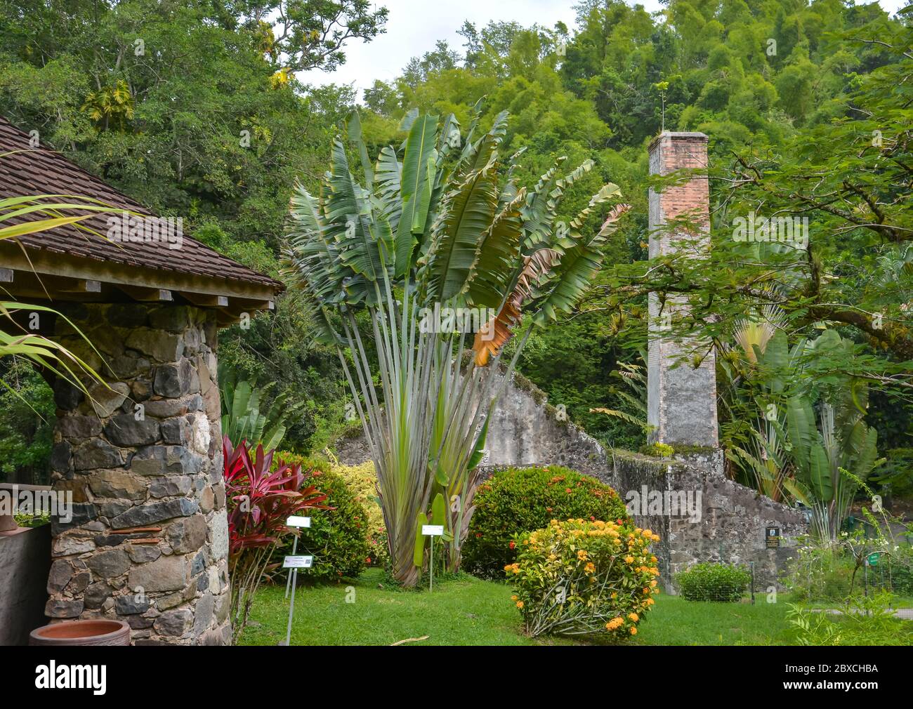 Trois Ilets, Martinica - 20 settembre 2018: Rovine della vecchia fabbrica di rum e zuccherificio. Casa natale dell'imperatrice Josephine. Museo la Pagerie Foto Stock