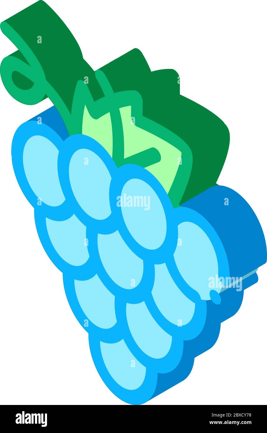 Uva vino Berry icona isometrica Illustrazione vettoriale Illustrazione Vettoriale