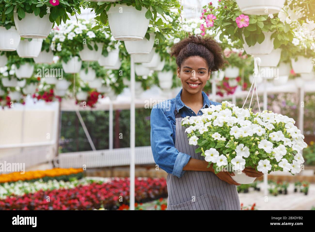 Raccolta fiori. Ragazza che tiene pentola di molti fiori belli Foto Stock