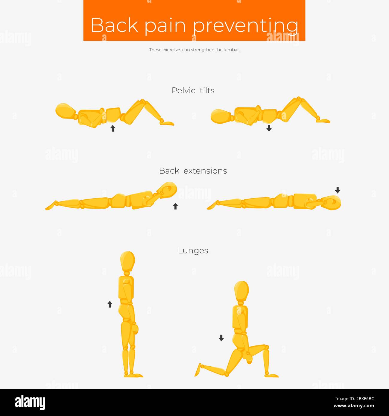 Poster dell'esercizio prevenire il mal di schiena Illustrazione Vettoriale