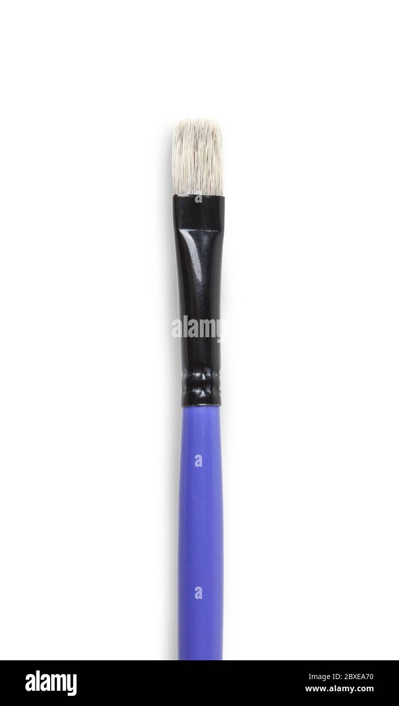 Pennello per pittura in primo piano isolato su sfondo bianco Foto Stock