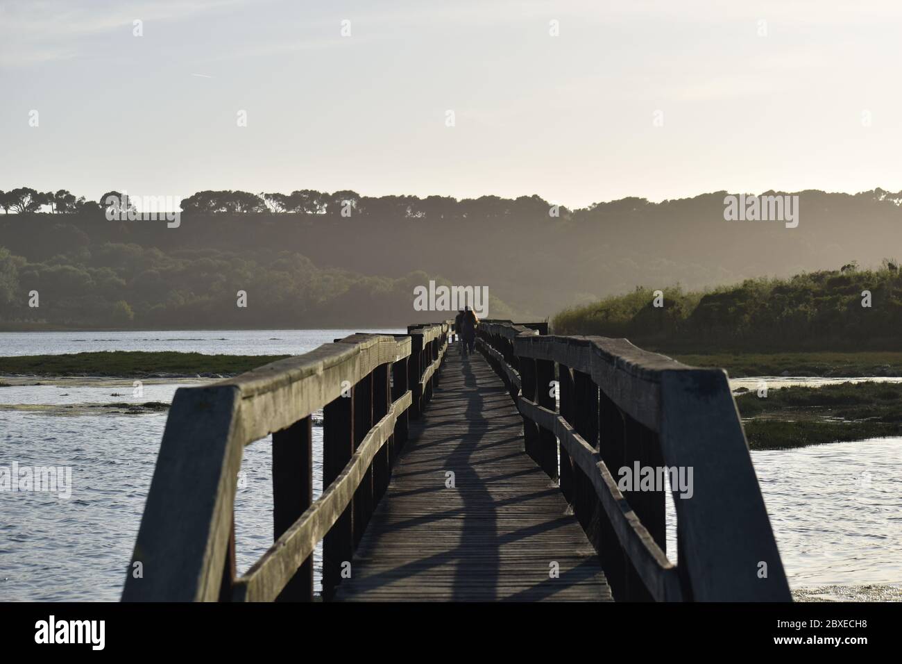 Una passerella in legno al Kirby Park, che si affaccia su Elkhorn Slough vicino a Watsonville, California. Foto Stock