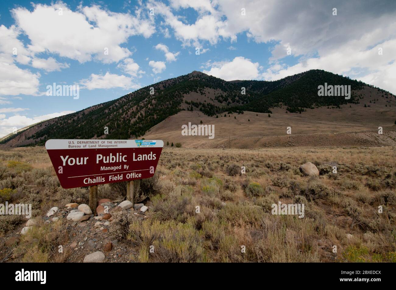 Bureau of Land Management terre pubbliche segno in Custer County vicino Copper Basin, ID Foto Stock