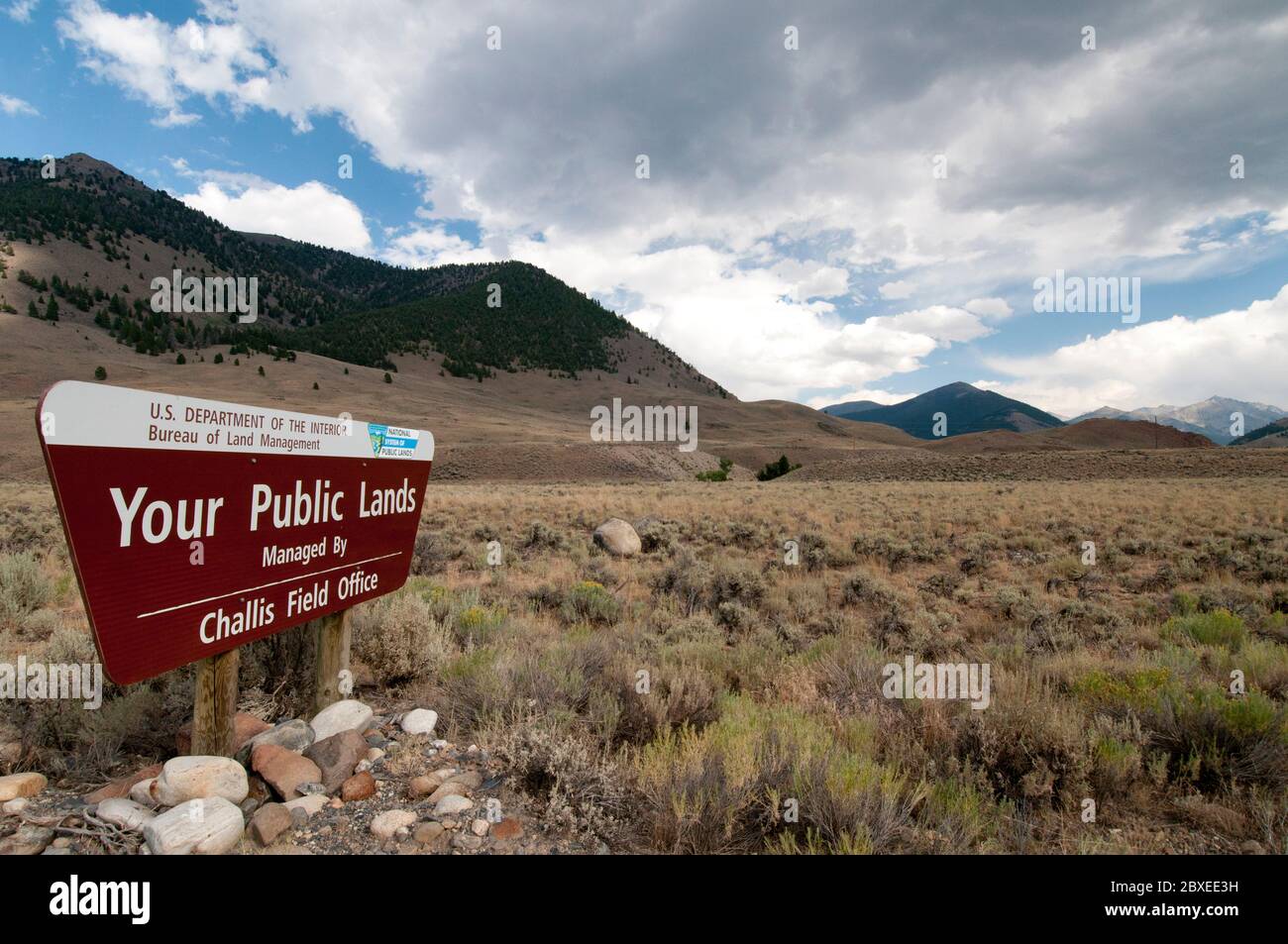Bureau of Land Management terre pubbliche segno in Custer County vicino Copper Basin, ID Foto Stock