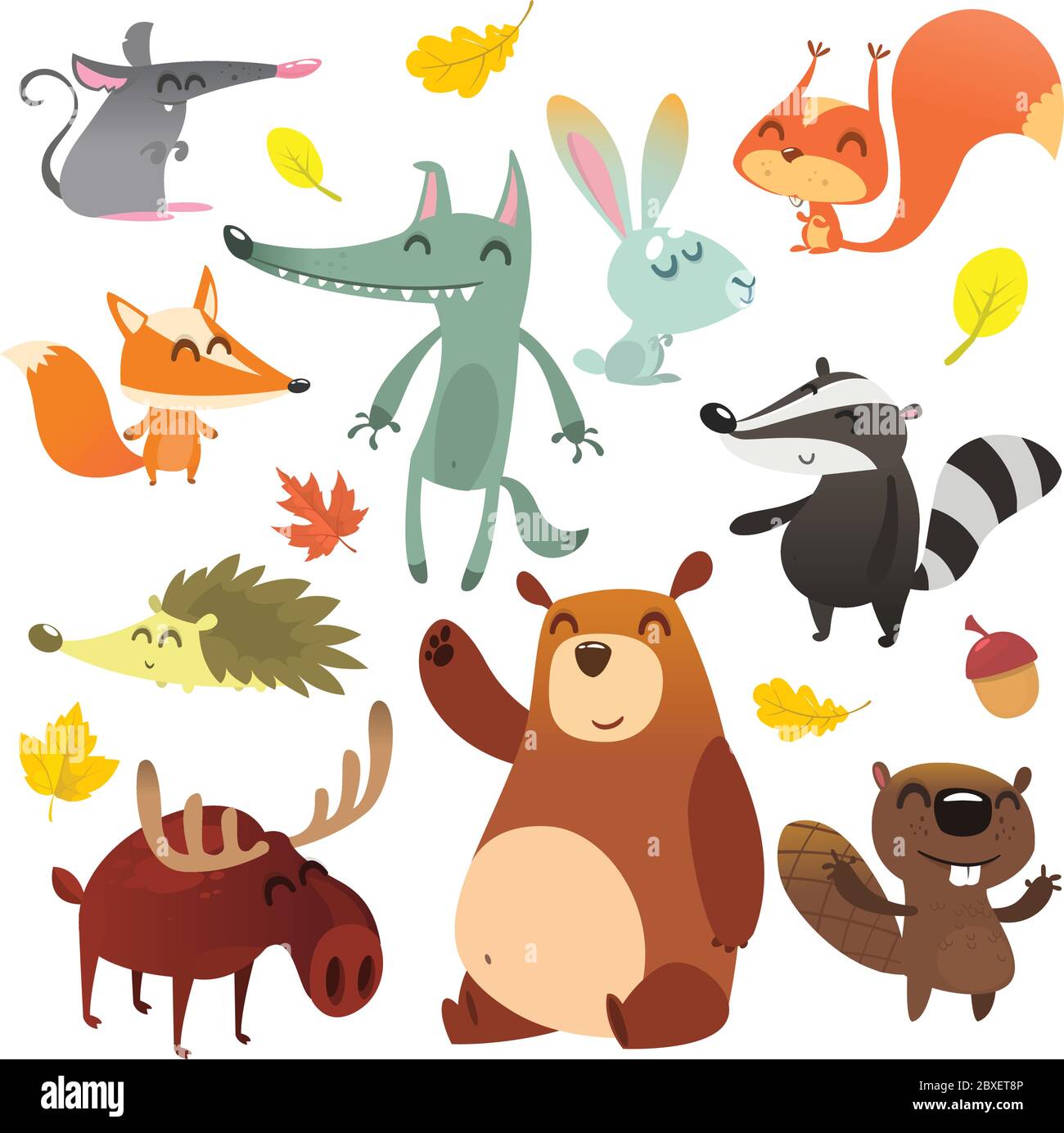Animali della foresta di Cartoon. Set di animali carini di cartoni animati  selvatici. Disegno di illustrazione vettoriale piatto. Scoiattolo, topo,  tasso, lupo, volpe, castoro, orso, alce Immagine e Vettoriale - Alamy