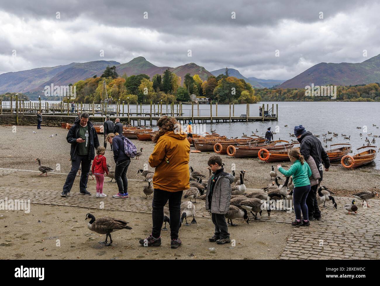 Gruppi familiari che nutrivano oche sul litorale a Derwent Water, nel Distretto dei Laghi inglesi, con montagne, lago e barche a remi sullo sfondo Foto Stock