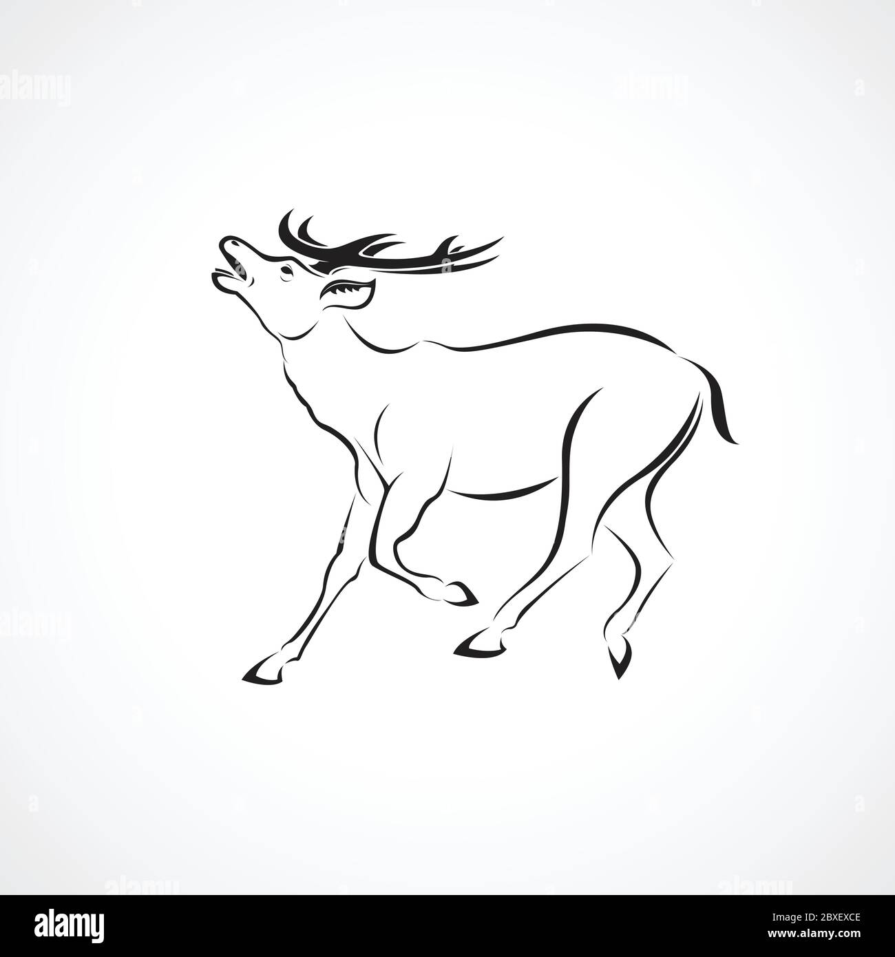 Vettore di un disegno di cervo su sfondo bianco. Animali selvatici. Illustrazione vettoriale a livelli facilmente modificabile. Illustrazione Vettoriale