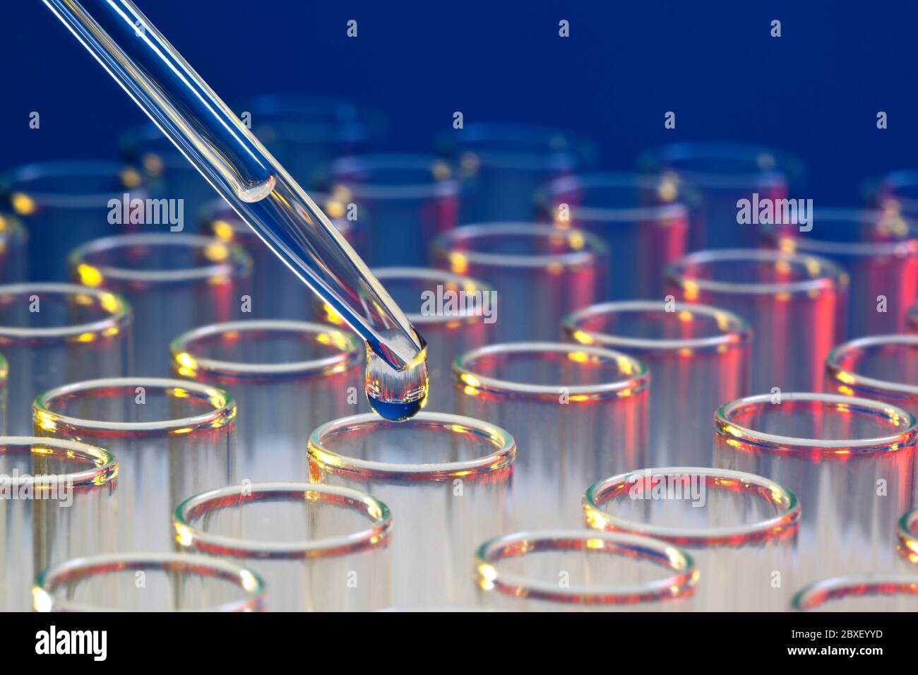 Analisi scientifica - utilizzando una pipetta, aggiungere un liquido a una provetta. Foto Stock