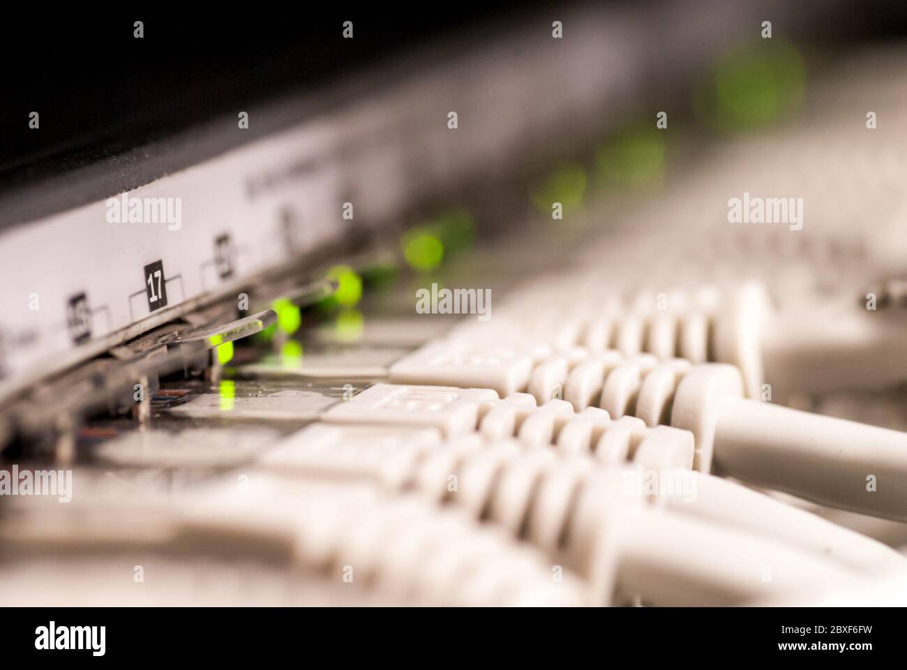 rack di rete per computer con cavi inseriti Foto Stock