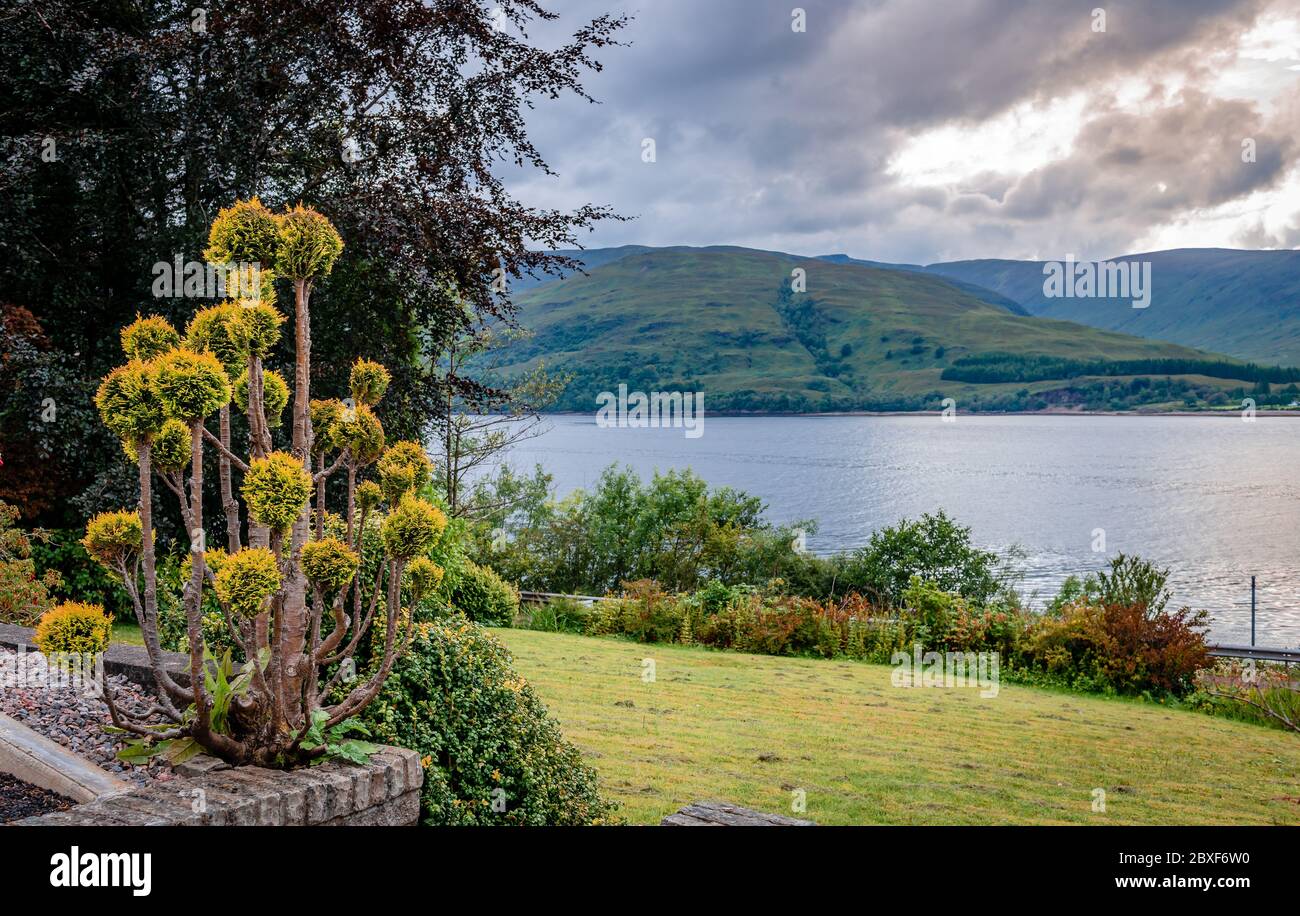 Paesaggio scozzese con piante e alberi e Loch Linnhe sullo sfondo. Loch Linnhe è un riccio di mare delle Highlands scozzesi. Foto Stock