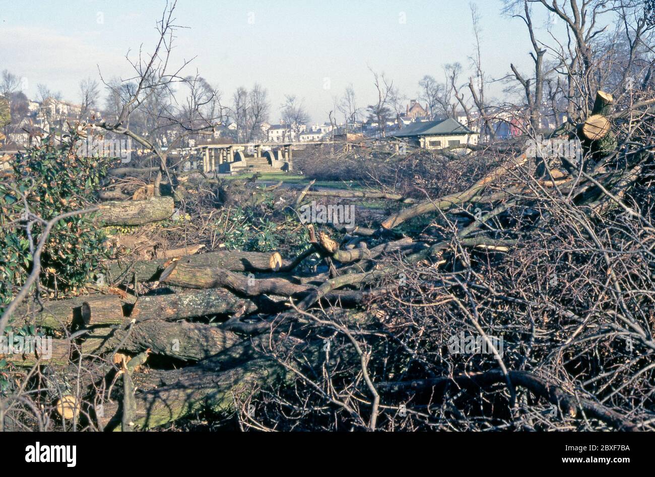 Le conseguenze della "Grande tempesta" a Brighton, East Sussex, Inghilterra, Regno Unito – si è verificata la notte del 15/16 ottobre 1987. Qui la grande pulizia sta accadendo su 'The Level', un parco urbano nel centro di Brighton. Gli alberi caduti che disseminati la zona sono stati rimodorati dalla motosega – gran parte del buon legname sarebbe stato successivamente riciclato. La Grande tempesta del 1987 era un violento ciclone tropicale, con venti di uragani che causavano vittime e gravi danni nel Regno Unito e in Francia. Foto Stock