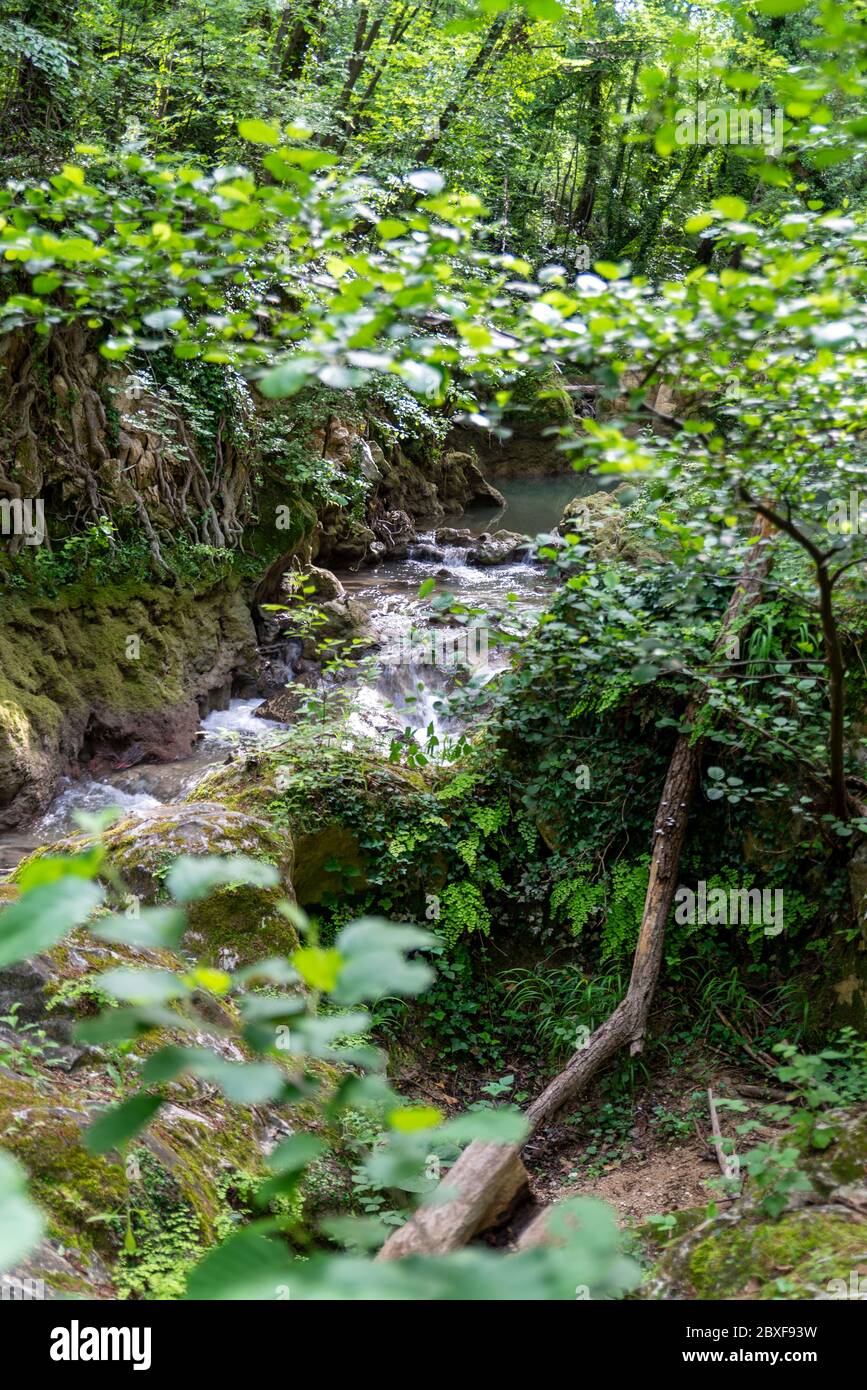 fiume nero che proviene dalle cascate di marmore in mezzo alla natura Foto Stock