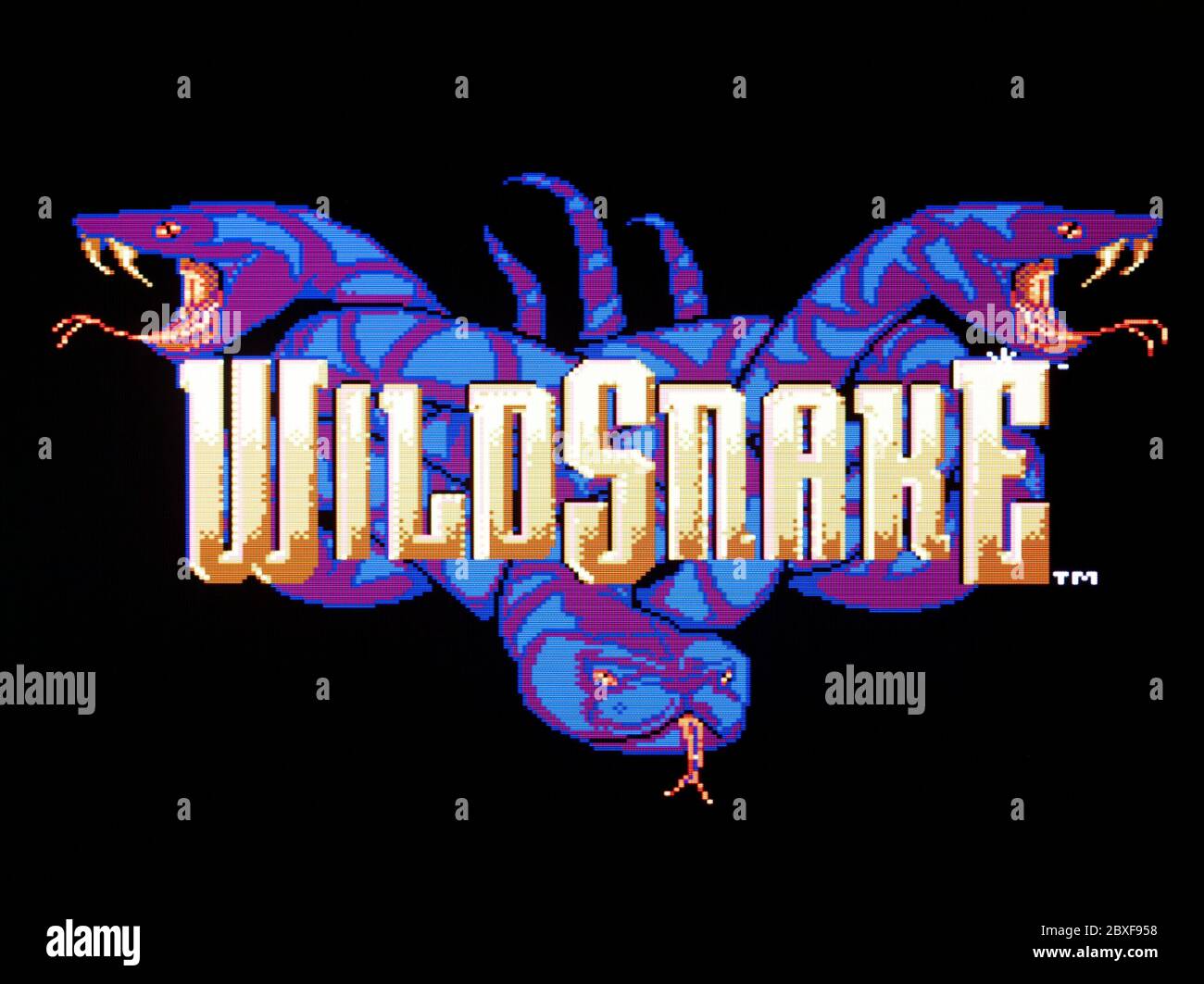 Wild Snake - SNES Super Nintendo - solo per uso editoriale Foto Stock