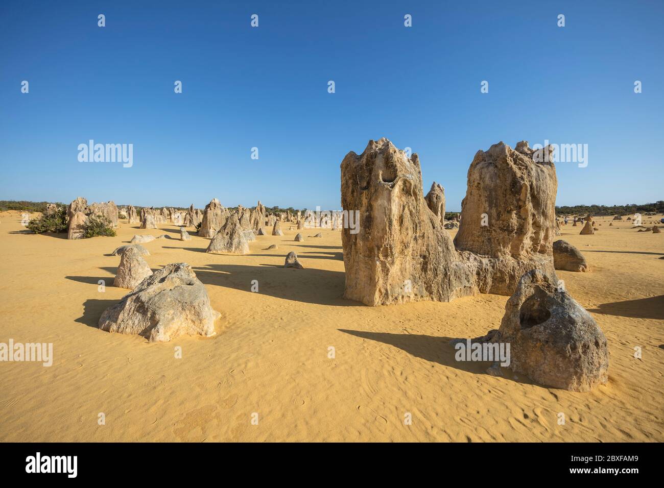 Formazioni rocciose calcaree note come pinnacoli nel parco nazionale di Nambung nell'Australia occidentale Foto Stock