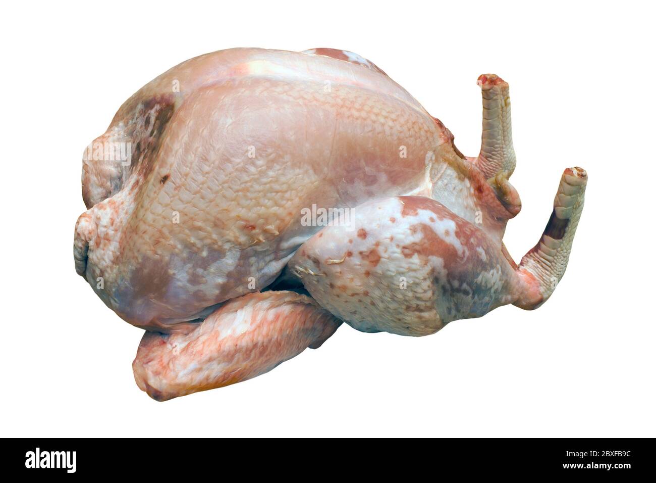 Tacchino crudo e strappato su uno sfondo bianco isolato con un percorso di ritaglio Foto Stock