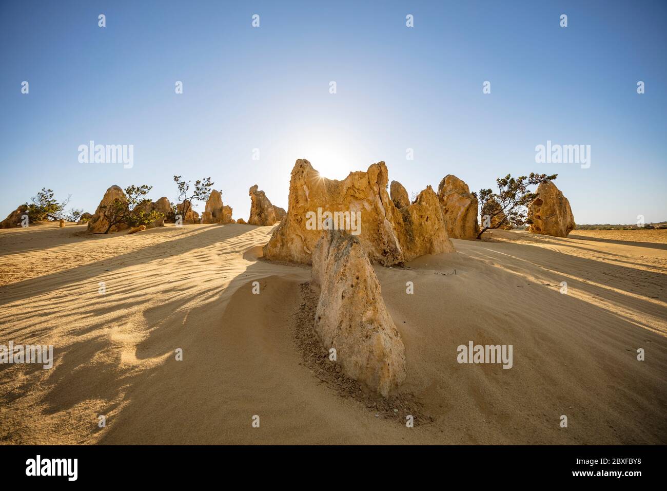 Formazioni rocciose calcaree retroilluminate conosciute come i Pinnacoli nel parco nazionale di Nambung nell'Australia occidentale Foto Stock