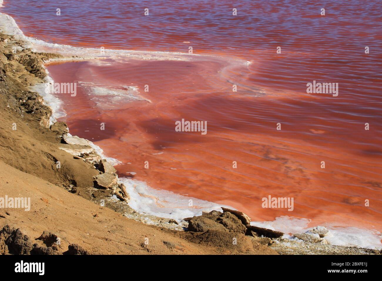 L'insolito punto di riferimento della Namibia è un lago salato con acqua rosa brillante. Foto Stock