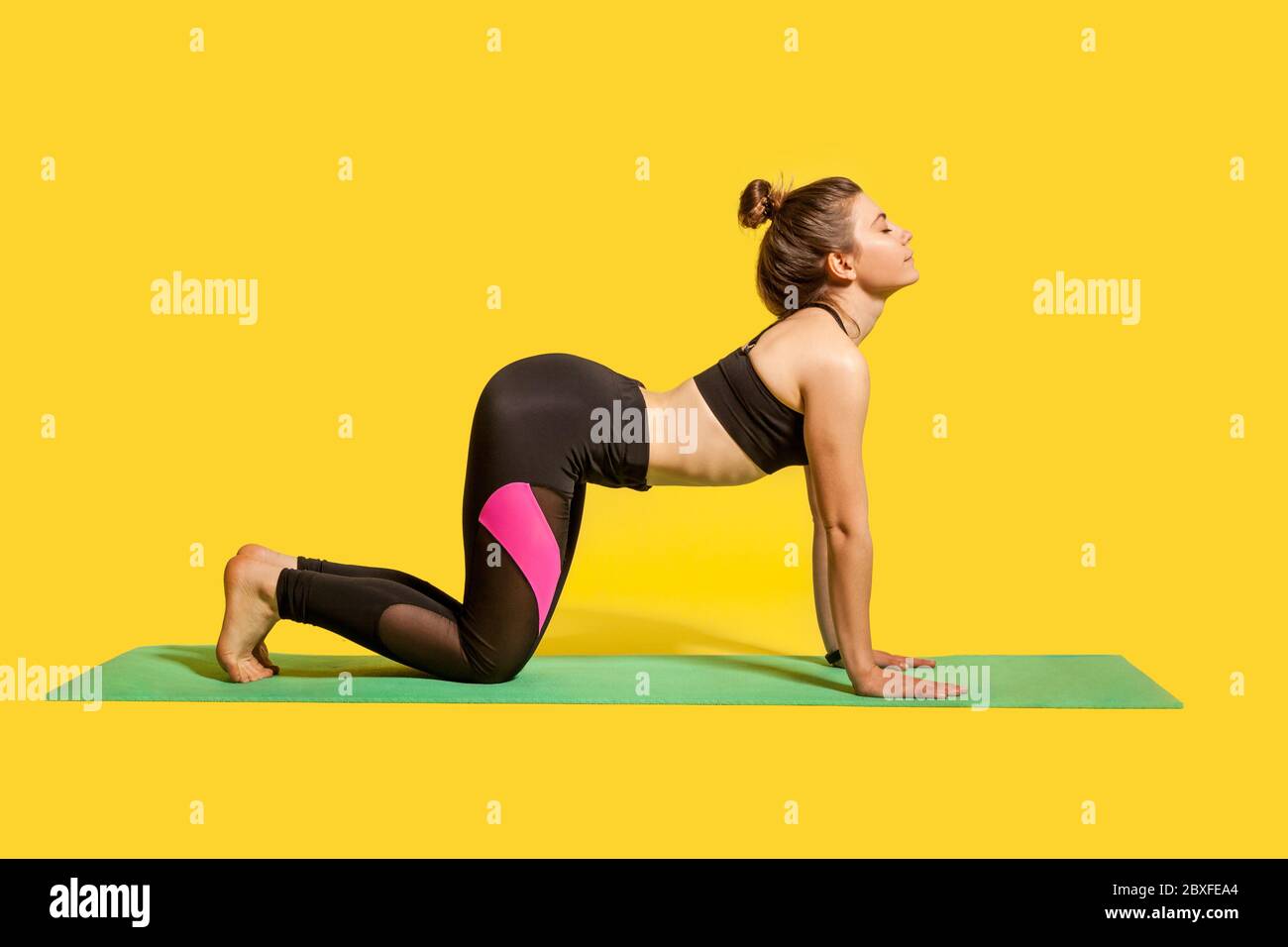 Posa mucca. Atletica donna concentrata in stretto abbigliamento sportivo praticando yoga, meditando con gli occhi chiusi, facendo Biilasana esercizio su mani e ginocchia. Foto Stock