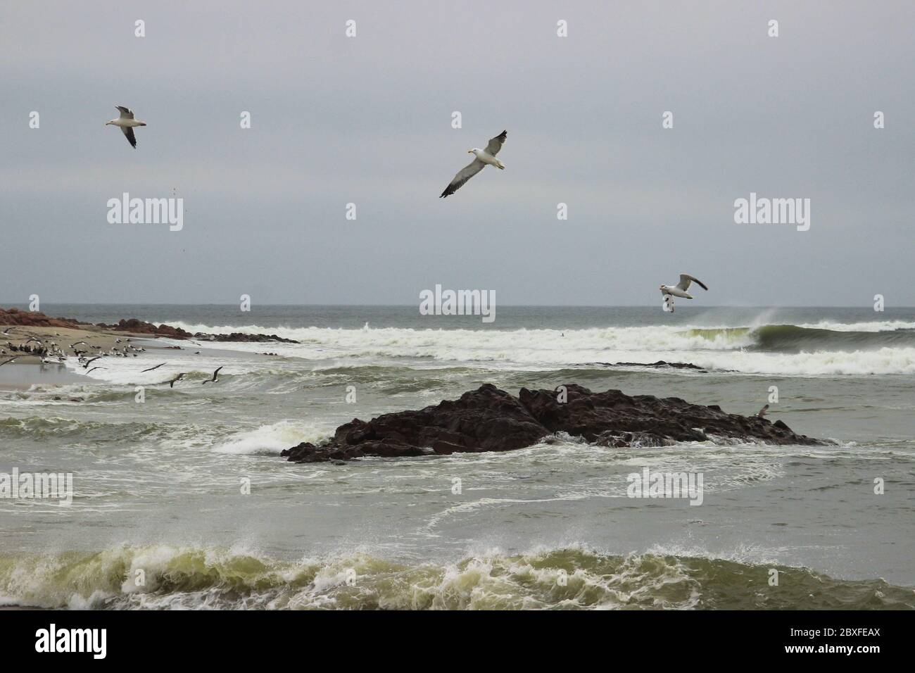 Onde forti sulla costa dell'Oceano Atlantico in Namibia e gabbiani che si innalzano sopra l'acqua. Foto Stock