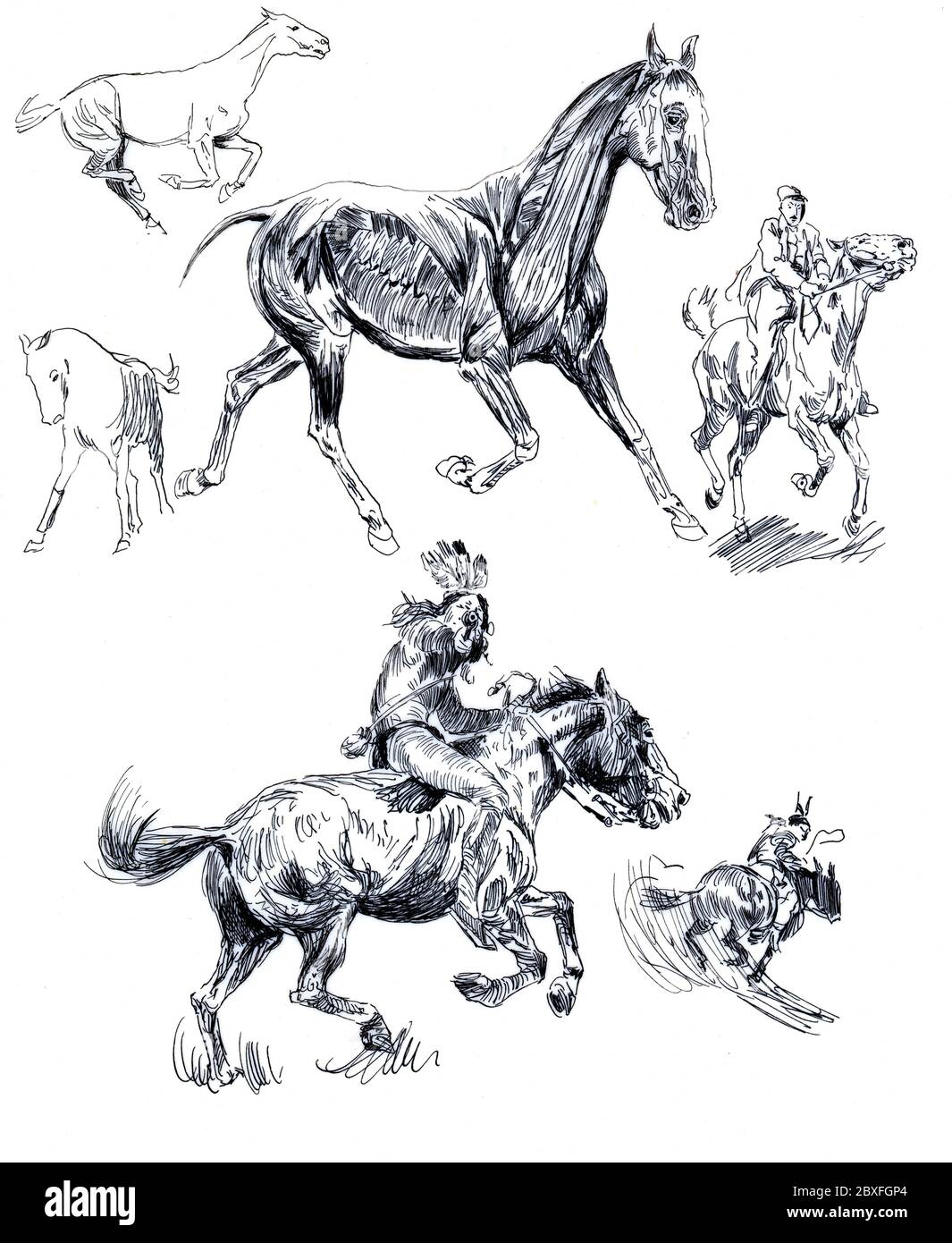 Una selezione di opere d'arte equestre/equestri di artisti sconosciuti degli anni '50. Foto Stock