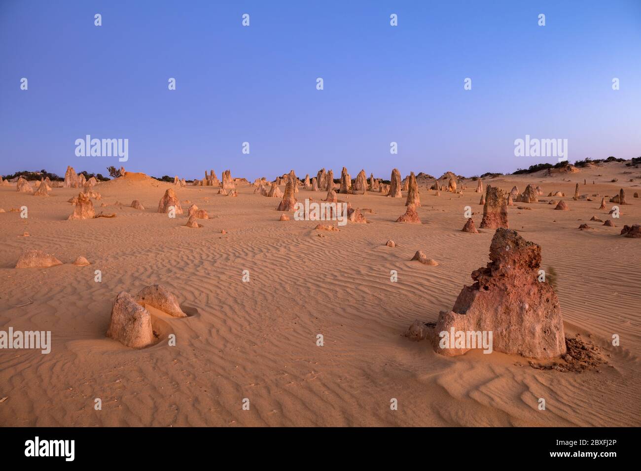 Le pile di calcare nel tardo pomeriggio si illuminano a colori pastello nel deserto dei Pinnacoli nel parco nazionale di Nambung, situato a nord di Perth, nell'Australia occidentale Foto Stock