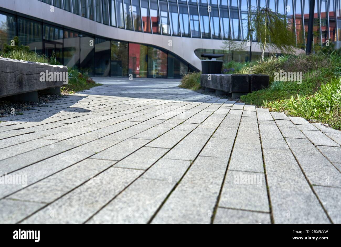 Piante e sentiero vicino all'edificio moderno Foto Stock