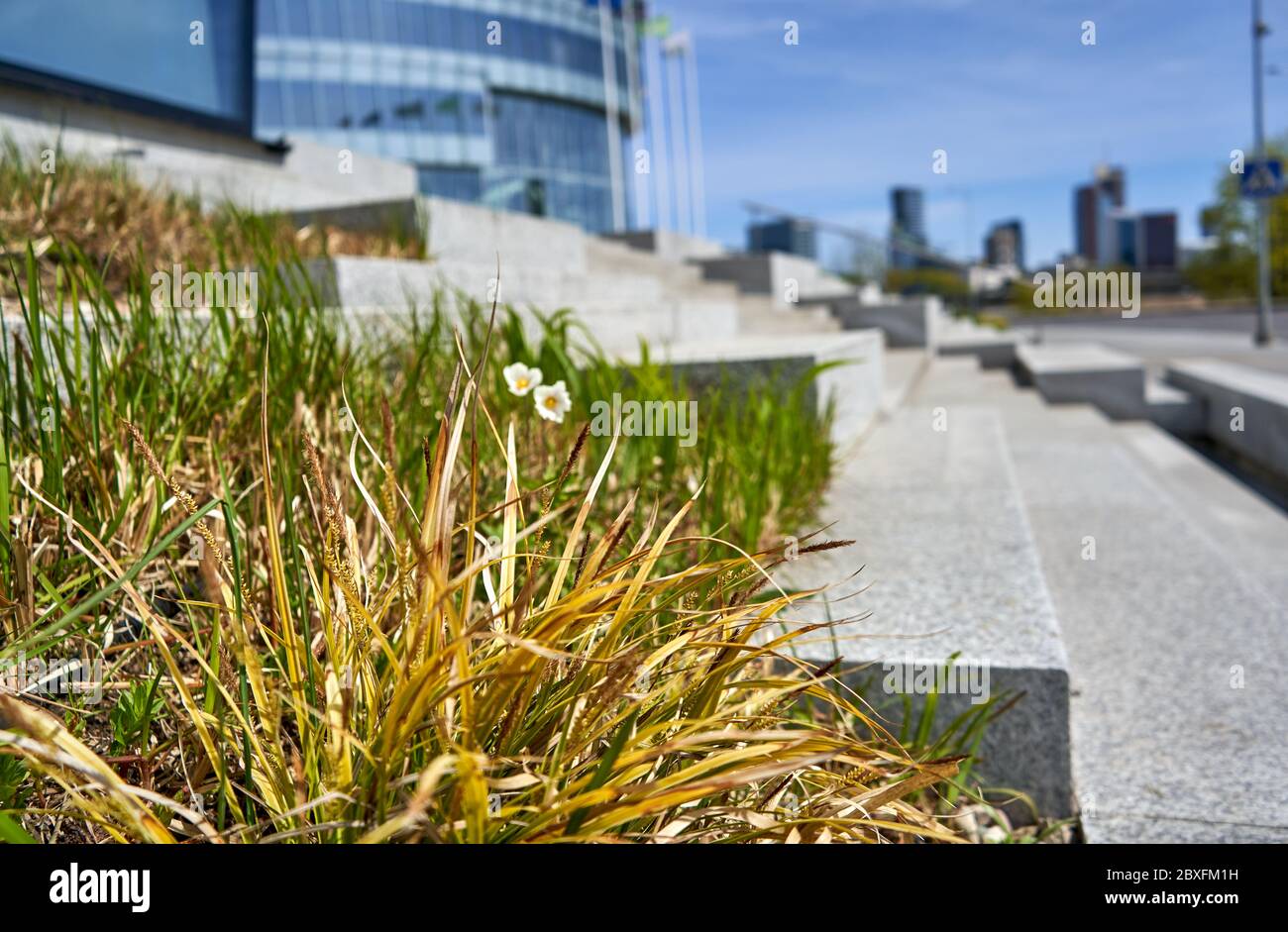 Piante vicino alle scale per il moderno edificio degli uffici Foto Stock