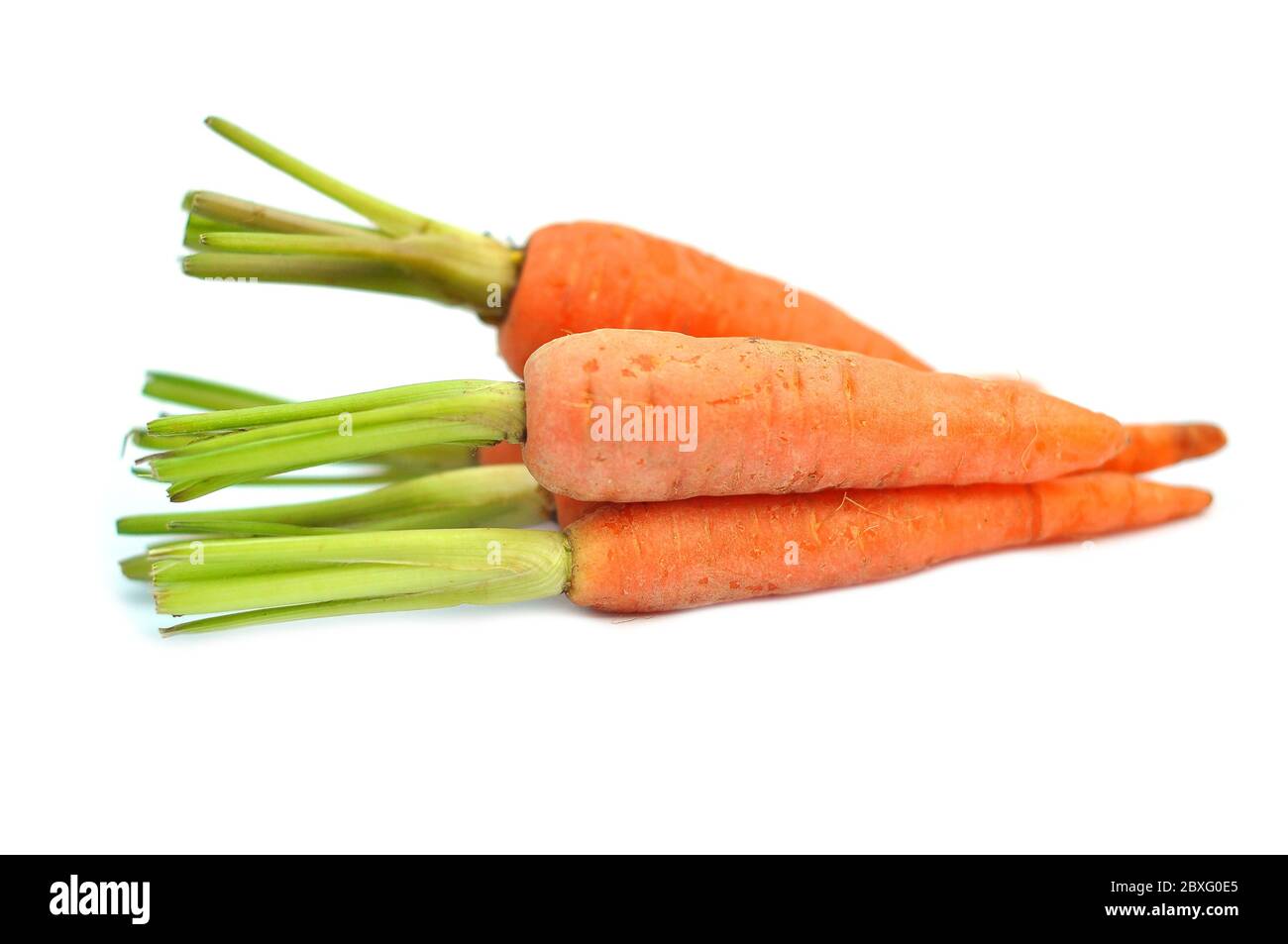 Le radici immature della pianta di carota su sfondo bianco Foto Stock
