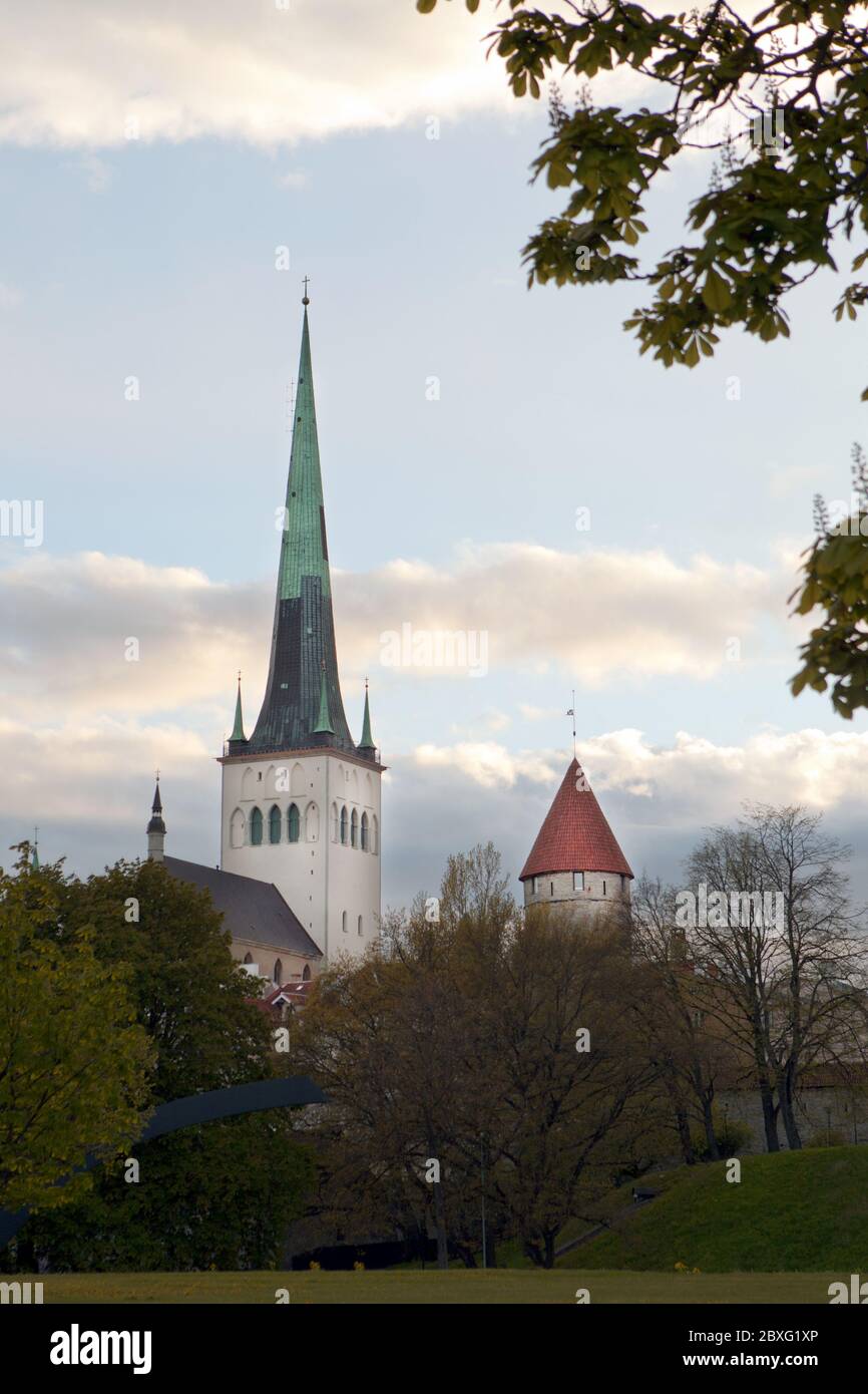 Torre delle mura della città e Chiesa cattolica Oleviste nella città vecchia di Tallinn in Estonia all'inizio della primavera. Architettura gotica scandinava Foto Stock