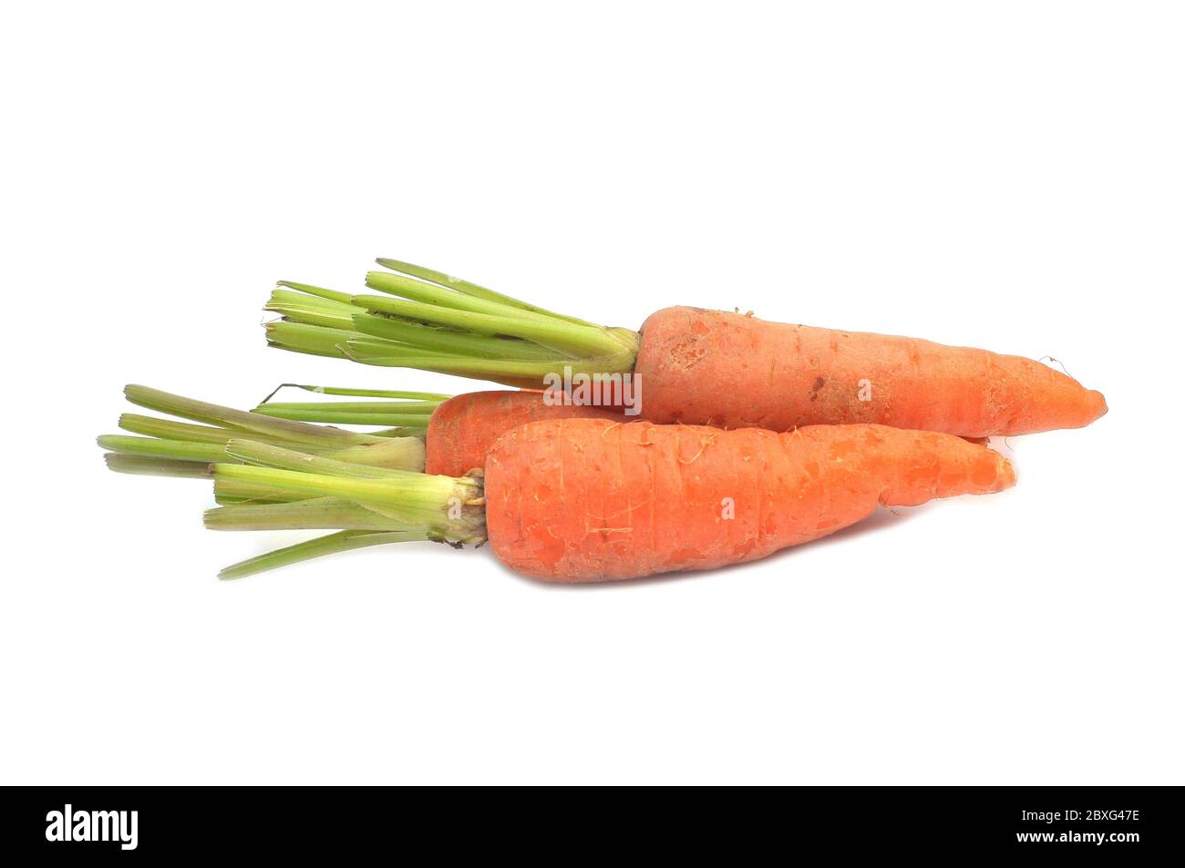 La carota fresca del bambino su sfondo bianco Foto Stock