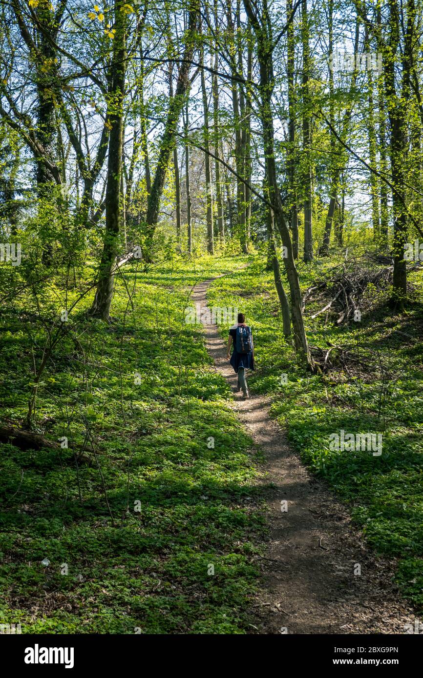 Padre Che Cammina Con La Figlia Sul Sentiero Della Foresta Fotografia Stock  - Immagine di svago, adulto: 236005332