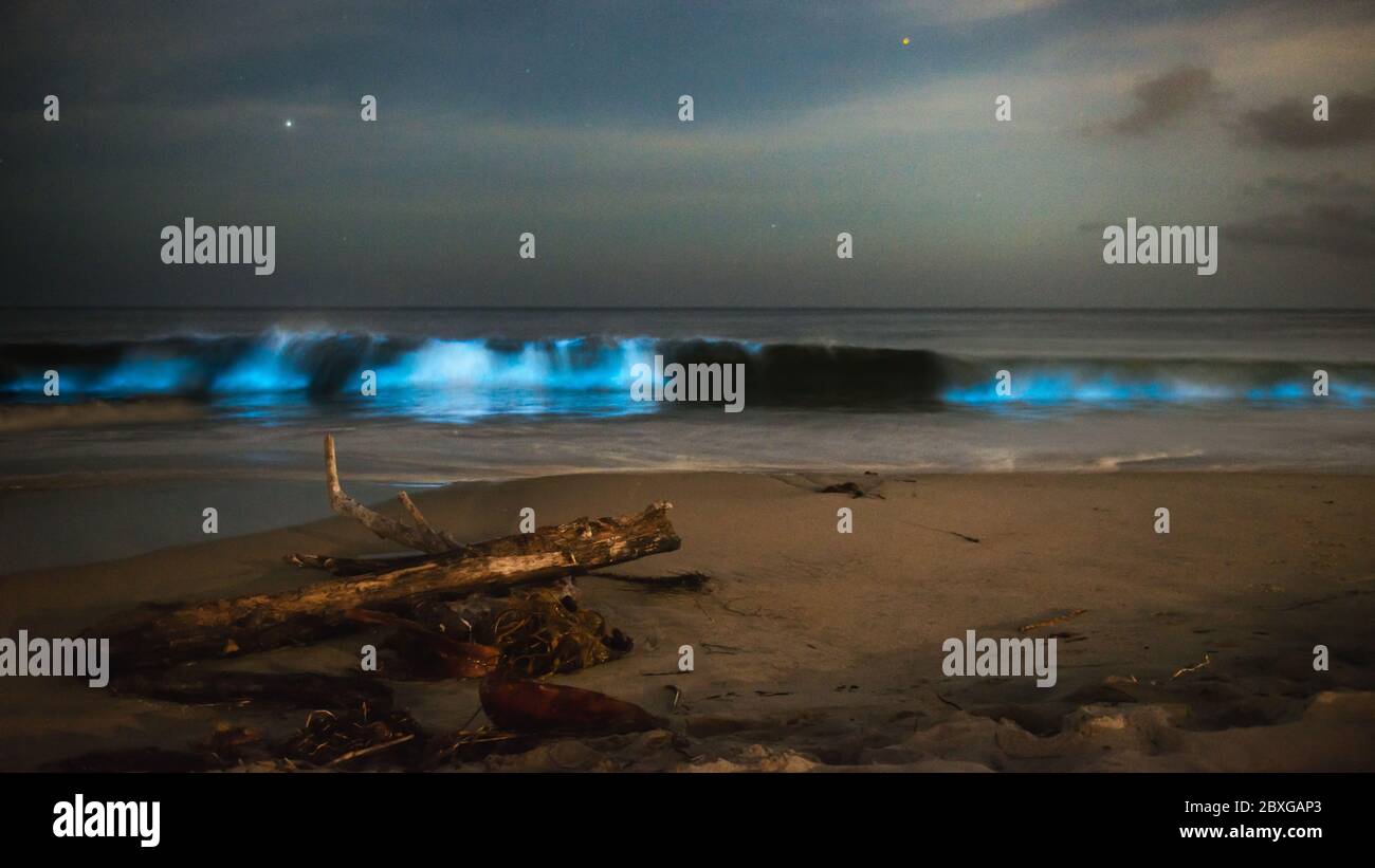 Bioluminescenza blu elettrica nel surf dell'oceano di notte, Salt Creek, Dana Point, California, USA Foto Stock