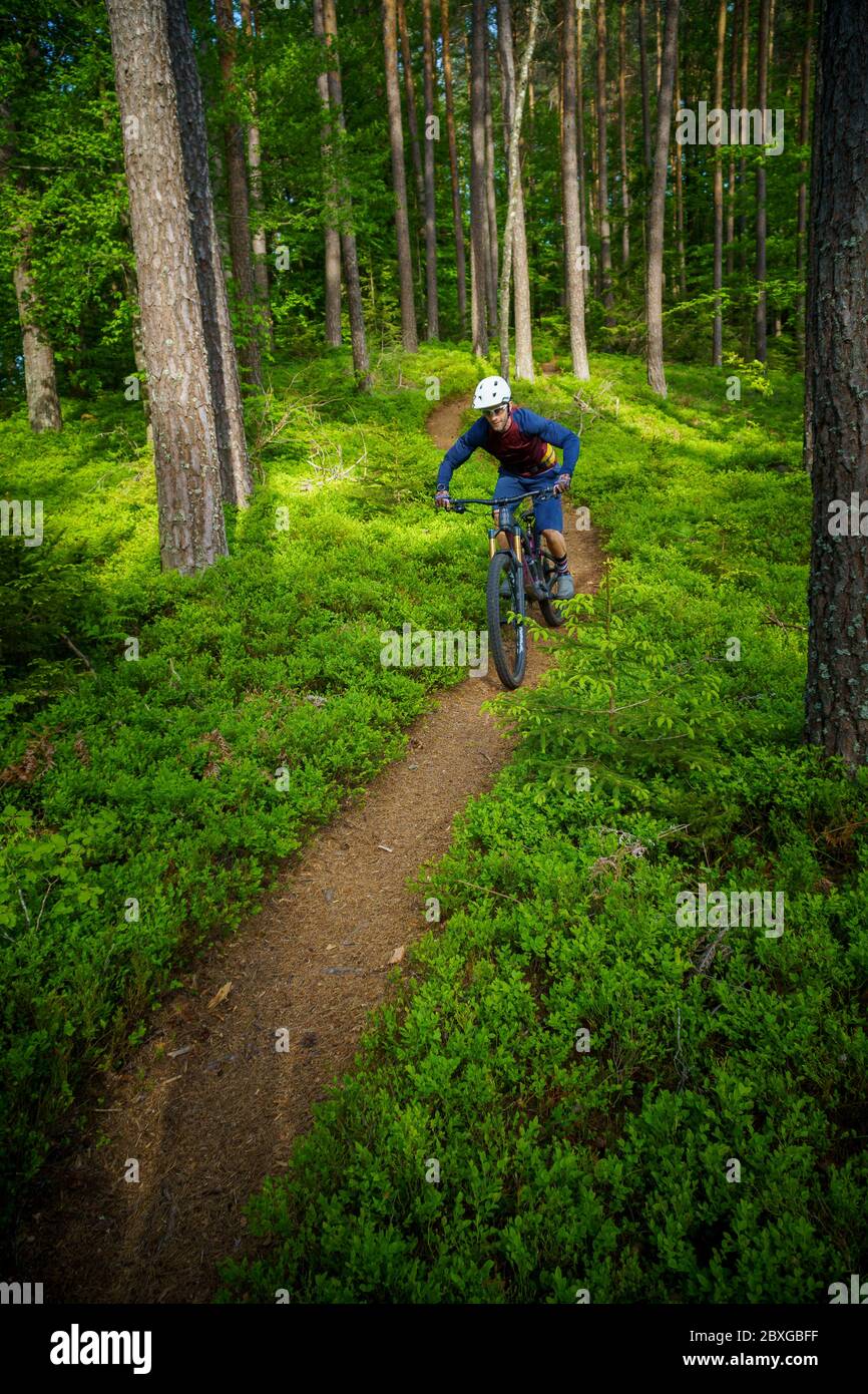 Uomo mountain bike attraverso la foresta, Klagenfurt, Carinzia, Austria Foto Stock