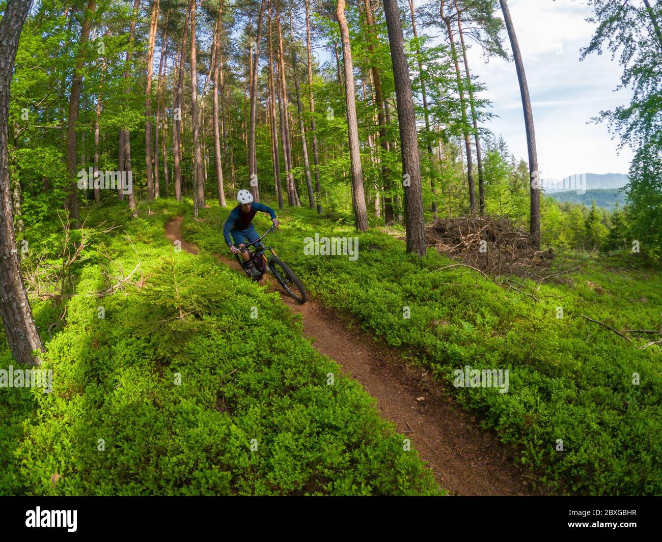 Uomo mountain bike attraverso la foresta, Klagenfurt, Carinzia, Austria Foto Stock