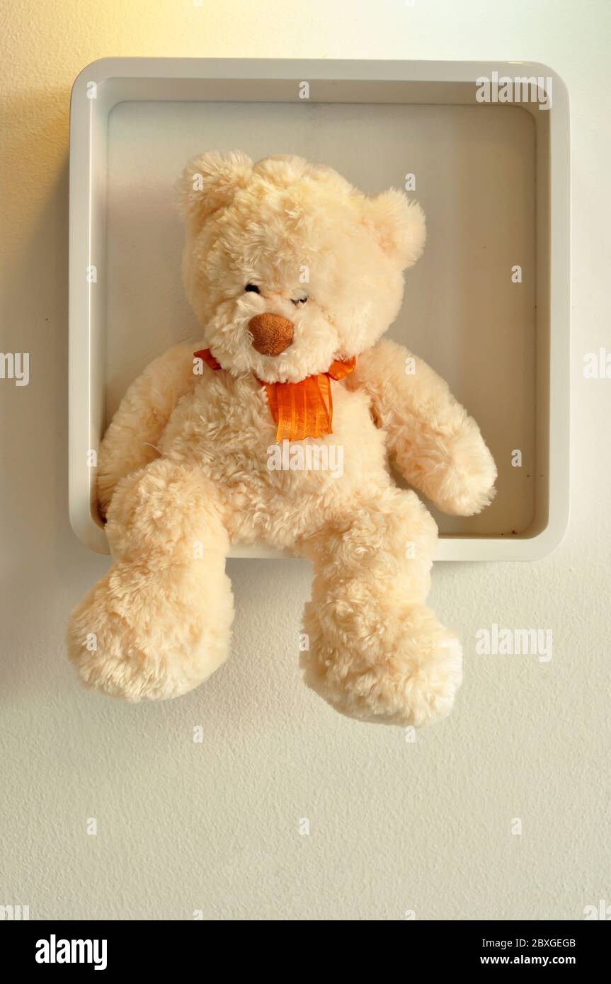 Orsacchiotto sugli scaffali del soggiorno Foto Stock